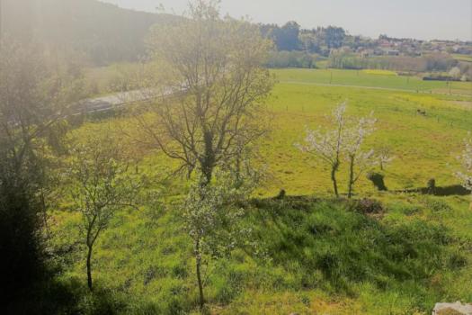 Casa de pueblo en venta en Betanzos
