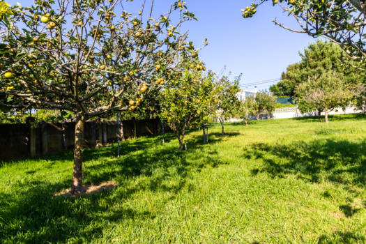 VENDIDO – En Mera, se vende casa