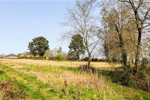 Finca 9.200 m2 con parte urbana, en venta en Mesón do Vento