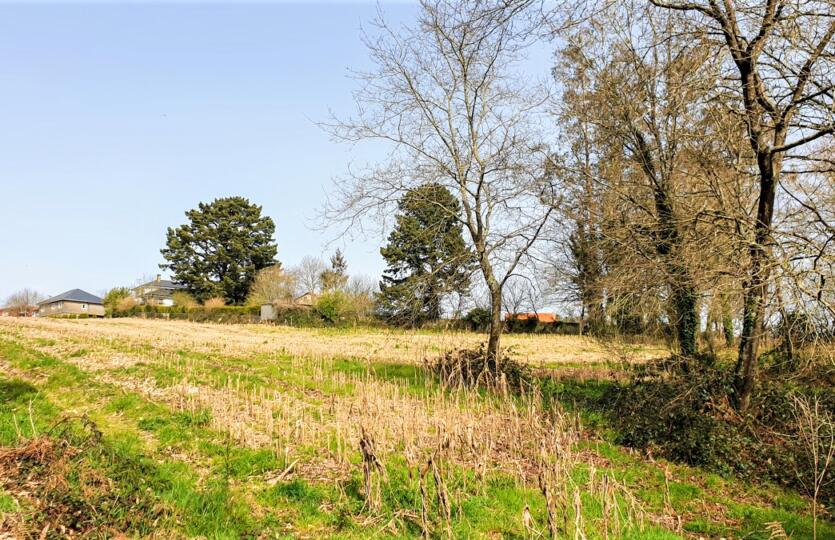 Finca urbana en venta