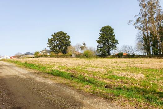 Finca 9.200 m2 con parte urbana, en venta en Mesón do Vento