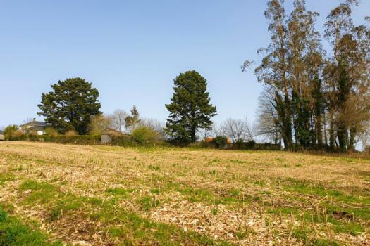 Finca urbana en venta