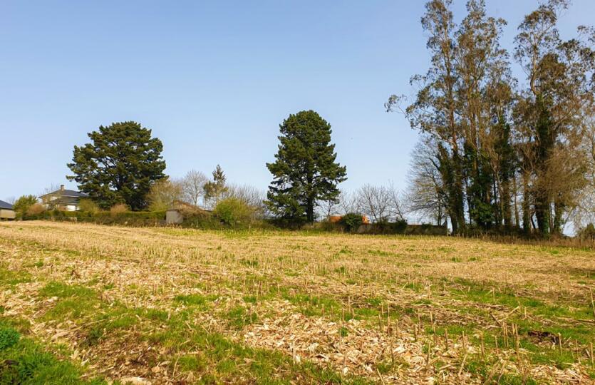 Finca urbana en venta