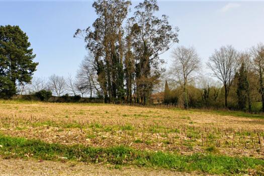 Finca 9.200 m2 con parte urbana, en venta en Mesón do Vento