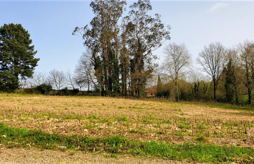 Finca urbana en venta