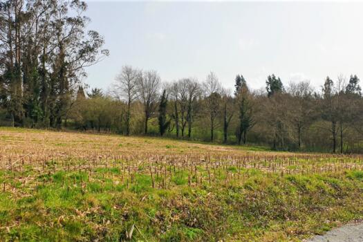 Finca 9.200 m2 con parte urbana, en venta en Mesón do Vento