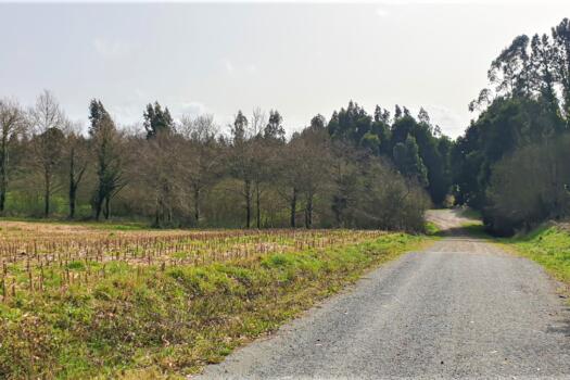 Finca 9.200 m2 con parte urbana, en venta en Mesón do Vento