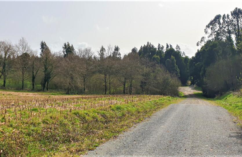 Finca urbana en venta