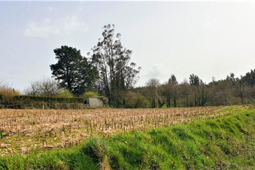 Finca 9.200 m2 con parte urbana, en venta en Mesón do Vento