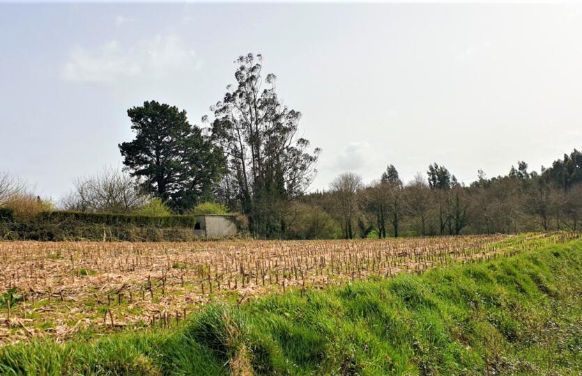 Finca urbana en venta