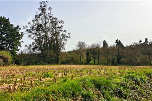 Finca 9.200 m2 con parte urbana, en venta en Mesón do Vento