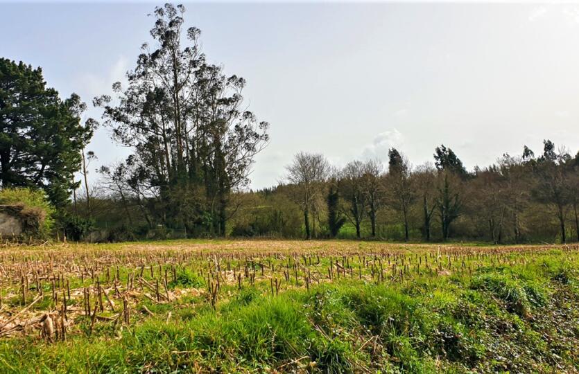 Finca urbana en venta