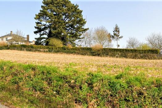 Finca 9.200 m2 con parte urbana, en venta en Mesón do Vento