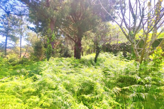 VENDIDO – En la costa, se vende casa con vistas