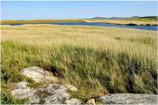 VENDIDO-En la costa chalets de obra nueva en venta