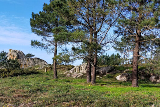 VENDIDO-En la costa chalets de obra nueva en venta