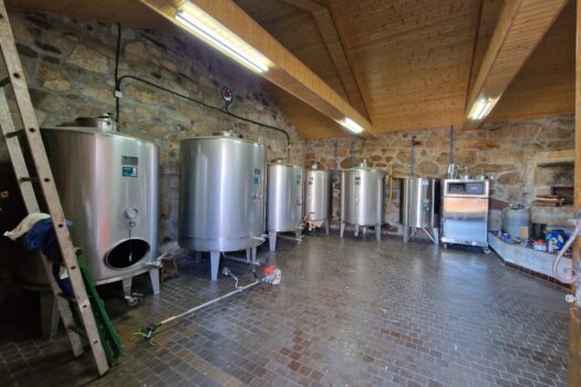 VENDIDO. En venta casa de piedra con bodega y viñedo