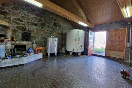 VENDIDO. En venta casa de piedra con bodega y viñedo