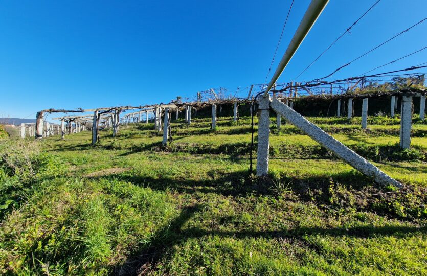 En venta casa de piedra con bodega