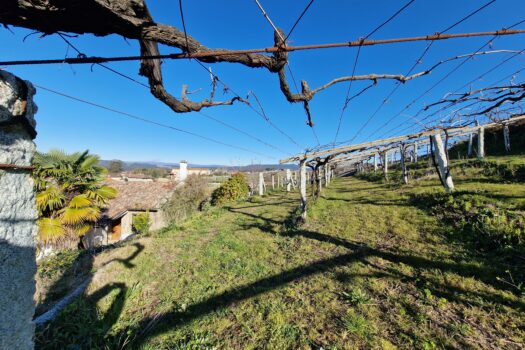 VENDIDO. En venta casa de piedra con bodega y viñedo