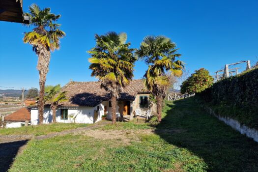 VENDIDO. En venta casa de piedra con bodega y viñedo