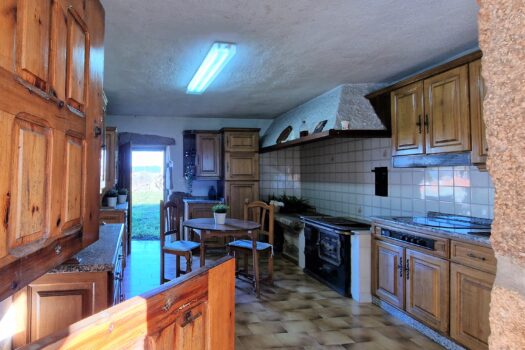 VENDIDO. En venta casa de piedra con bodega y viñedo