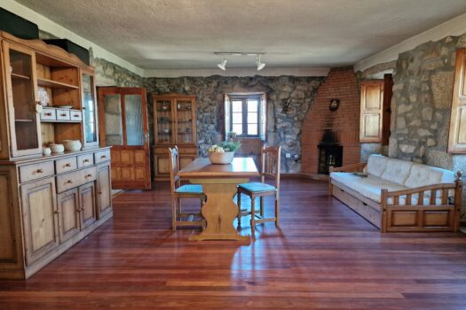 VENDIDO. En venta casa de piedra con bodega y viñedo