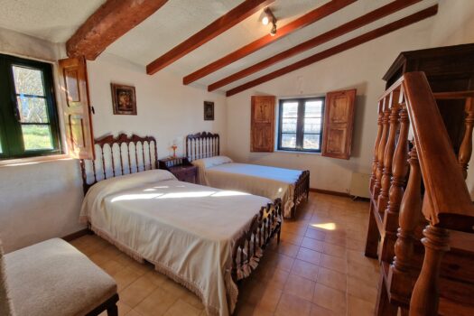 VENDIDO. En venta casa de piedra con bodega y viñedo