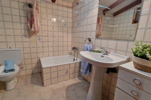 VENDIDO. En venta casa de piedra con bodega y viñedo