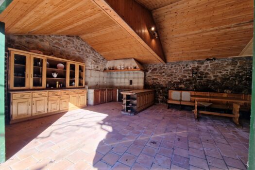 VENDIDO. En venta casa de piedra con bodega y viñedo