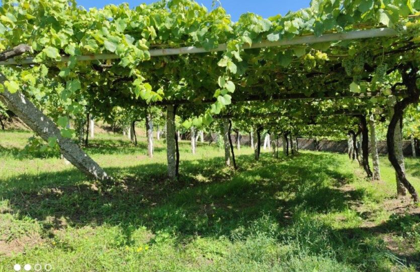 En venta casa de piedra con bodega