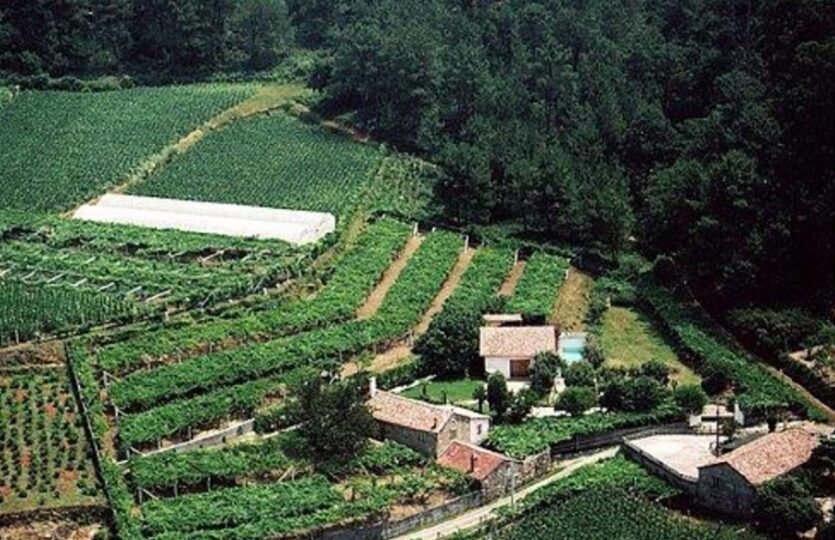 En venta casa de piedra con bodega