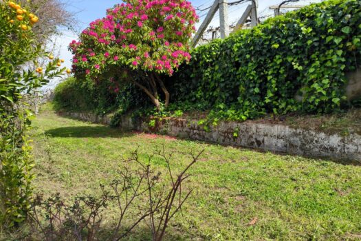 VENDIDO. En venta casa de piedra con bodega y viñedo