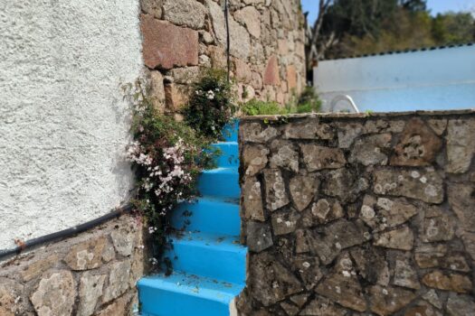 VENDIDO. En venta casa de piedra con bodega y viñedo