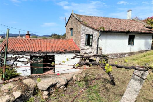 VENDIDO. En venta casa de piedra con bodega y viñedo