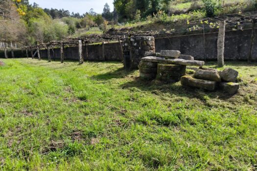 VENDIDO. En venta casa de piedra con bodega y viñedo