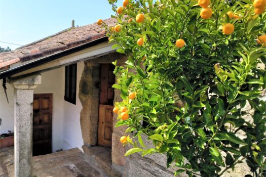 VENDIDO. En venta casa de piedra con bodega y viñedo