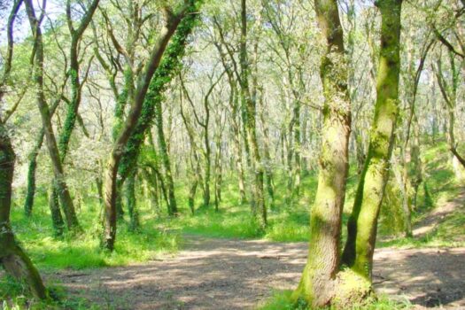 VENDIDO. Se vende casa al lado del embalse de Cecebre