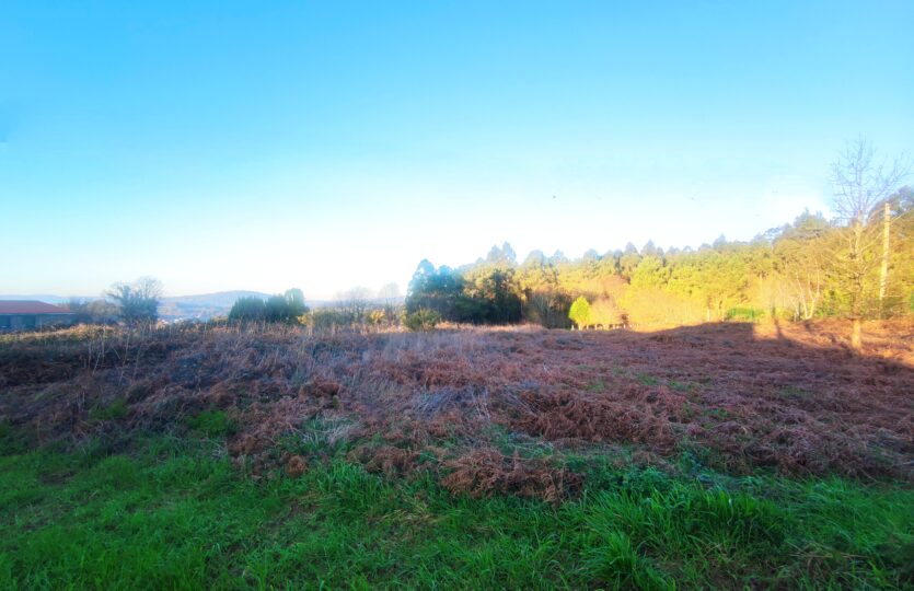 En venta fincas en Miño