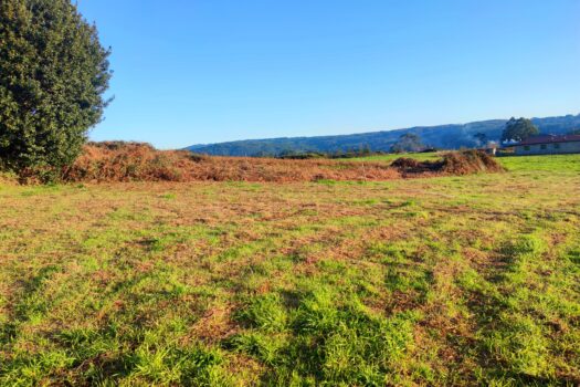 En venta fincas urbanas en Miño