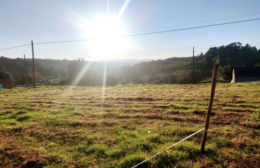 En venta fincas en Miño