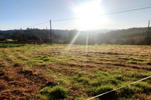 En venta fincas urbanas en Miño