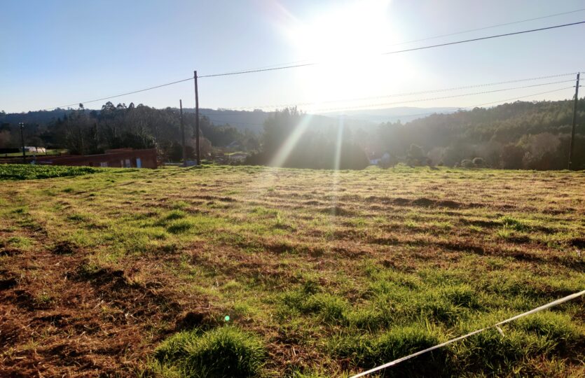 En venta fincas en Miño