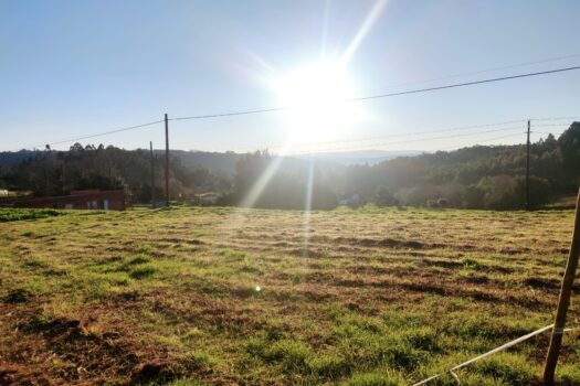 En venta fincas en Miño