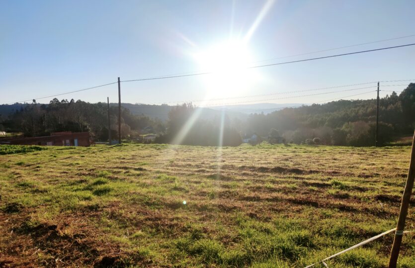 En venta fincas en Miño