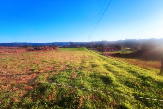 En venta fincas urbanas en Miño