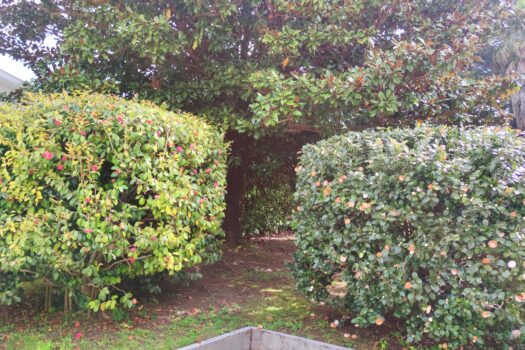 VENDIDO-En venta casa con finca en Oleiros