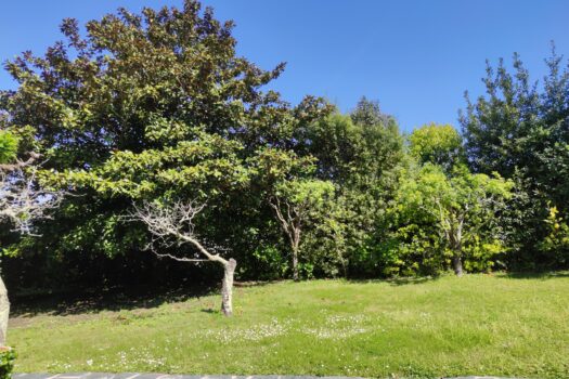 VENDIDO-En venta casa con finca en Oleiros