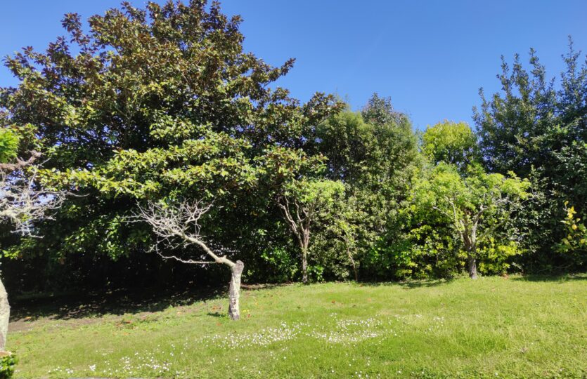 En venta casa en Oleiros