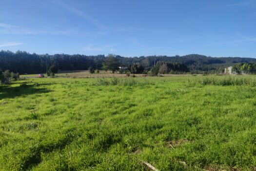 Estupenda finca urbana en venta en Oza-Cesuras